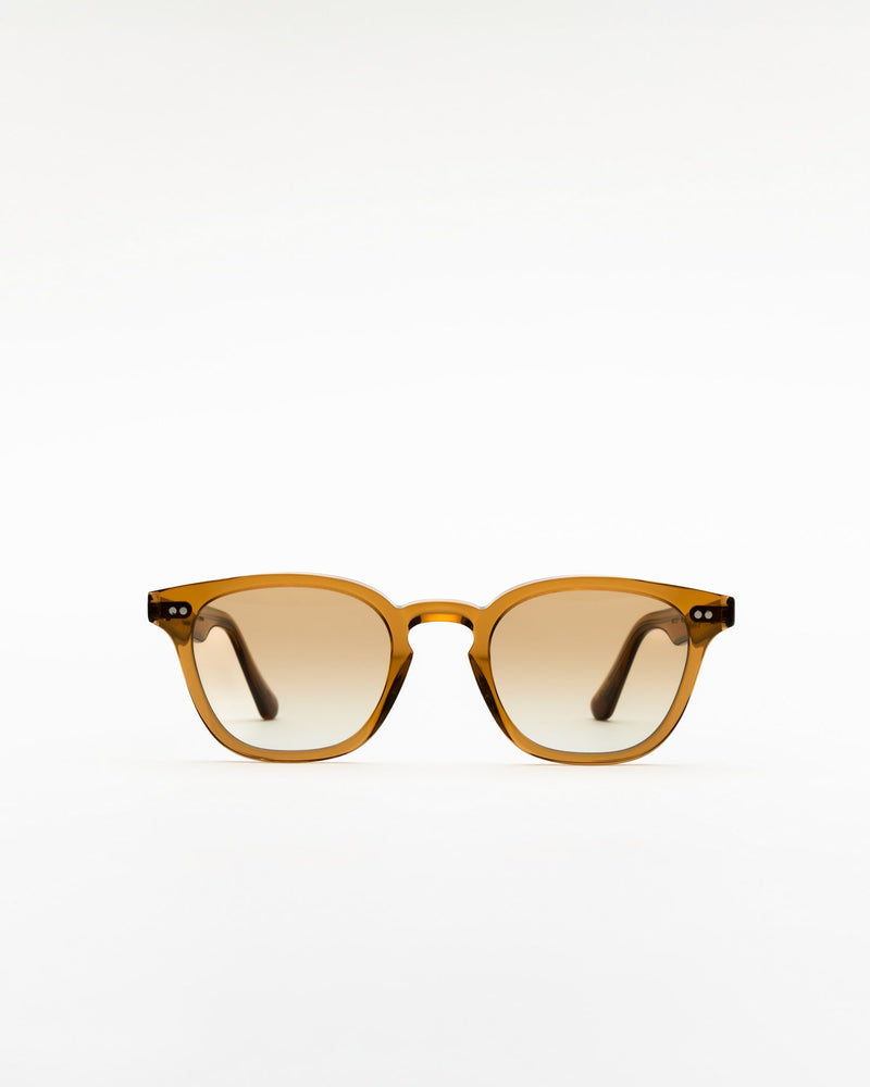 River Cola - brown gradient lens