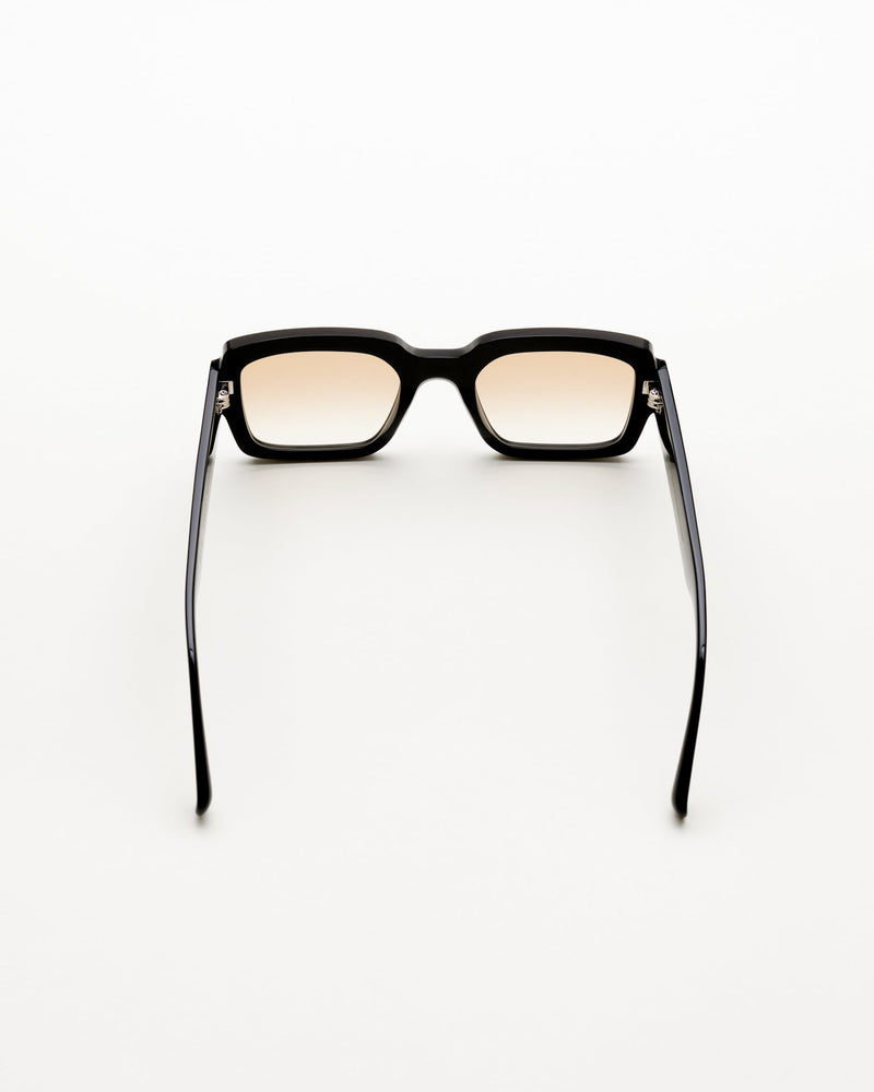 Apollo Black - brown gradient lens