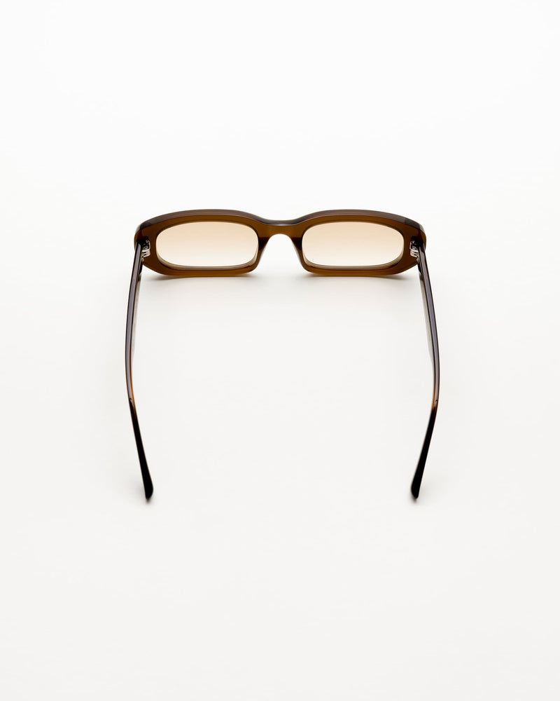 April Chocolate - brown gradient lens