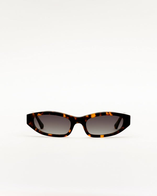 Miles Havana - grey gradient lens