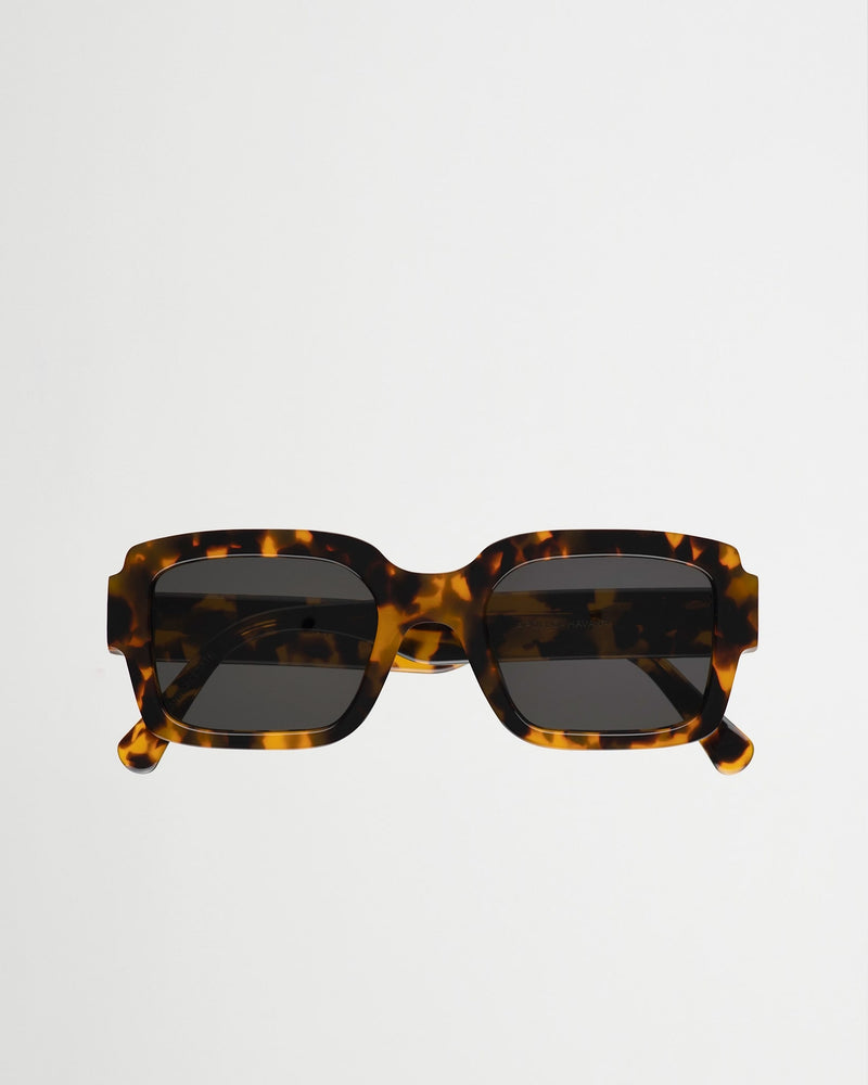 Apollo Havana - grey solid lens
