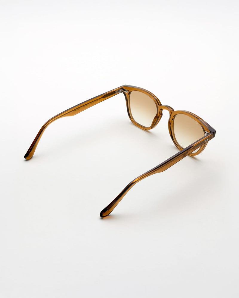 River Cola - brown gradient lens