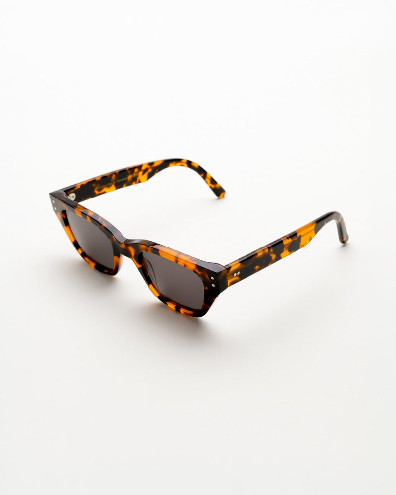 Memphis Havana - grey solid lens