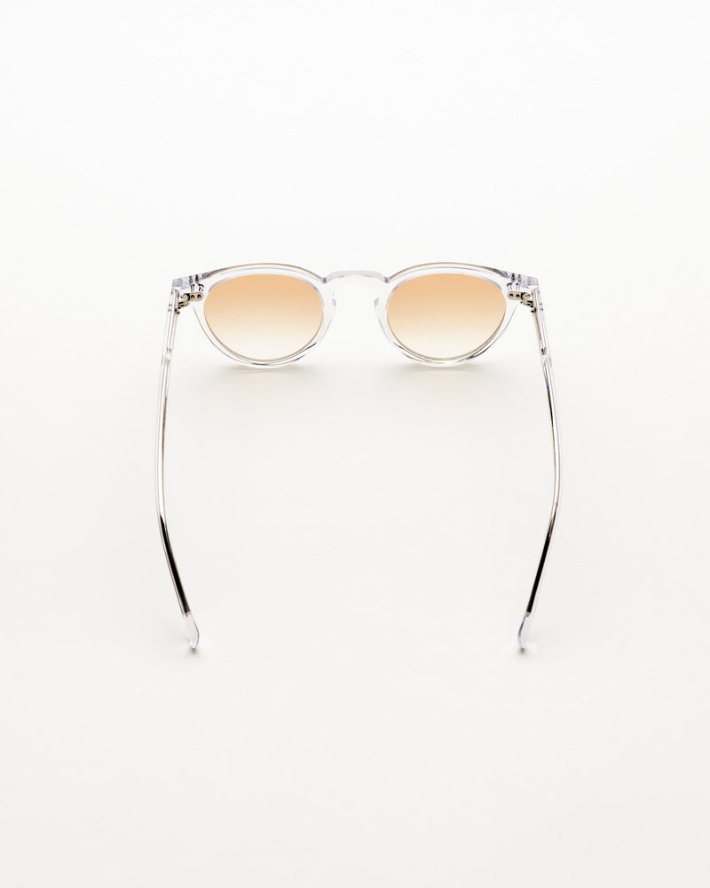 Forest Crystal - brown gradient lens
