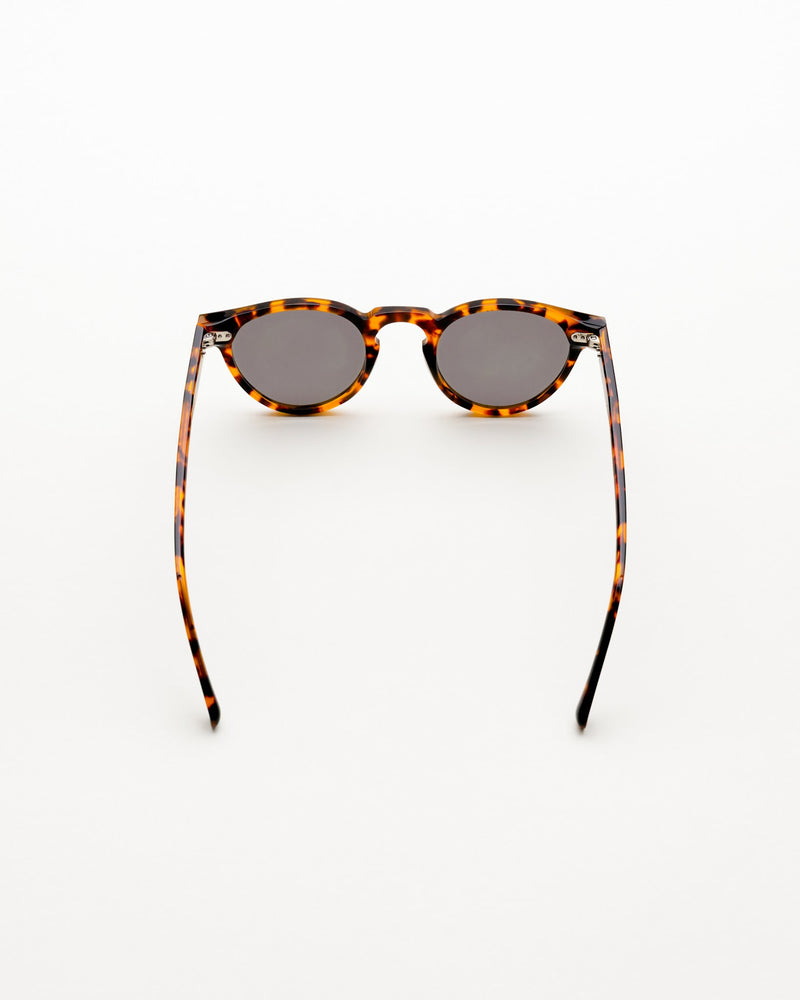 Forest Havana - grey solid lens