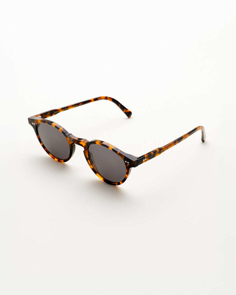 Forest Havana - grey solid lens
