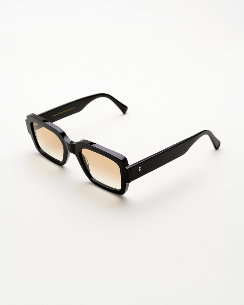 Apollo Black - brown gradient lens