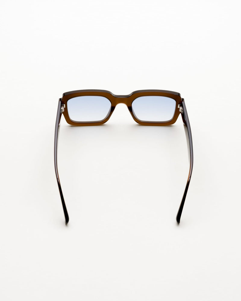Apollo Chocolate - blue gradient lens