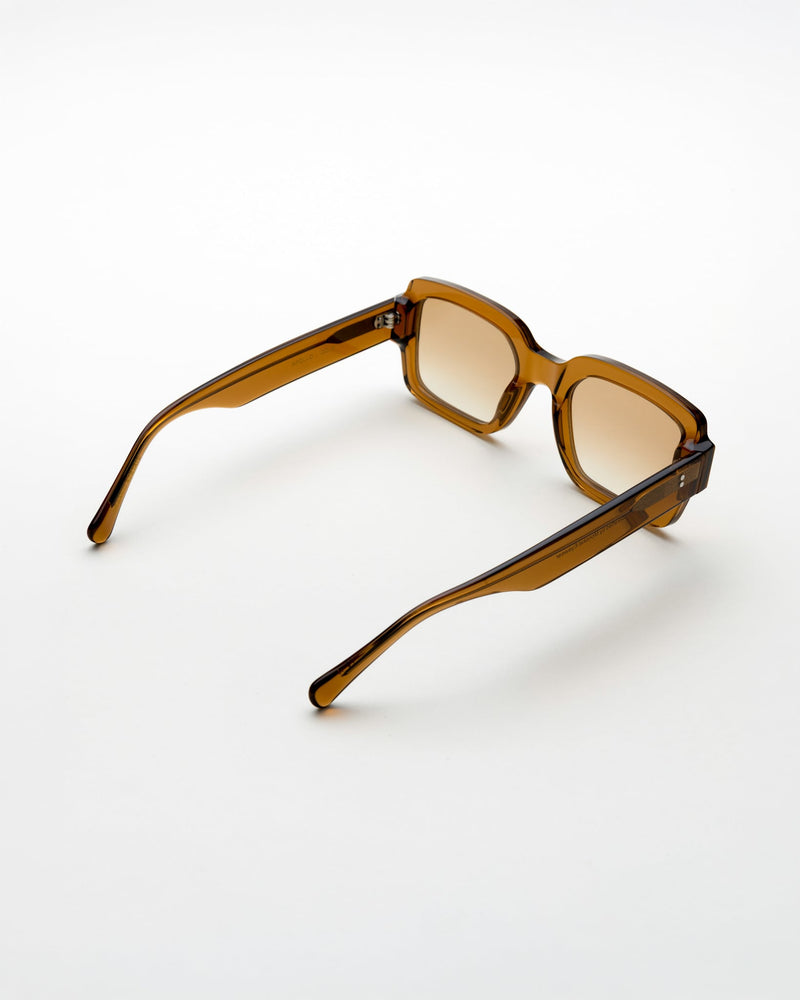 Apollo Cola - brown gradient lens