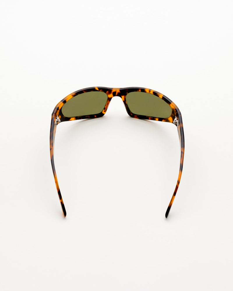Crow matt Havana - green solid polarized lens