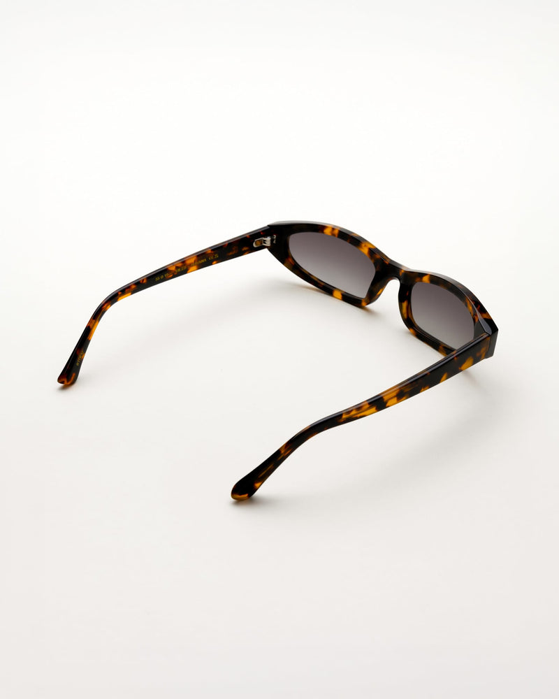 Miles Havana - grey gradient lens
