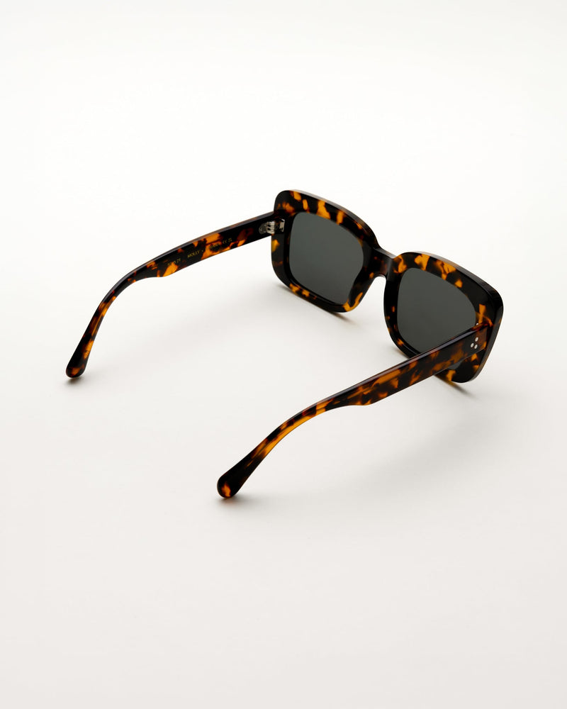 Molly Havana - green solid lens