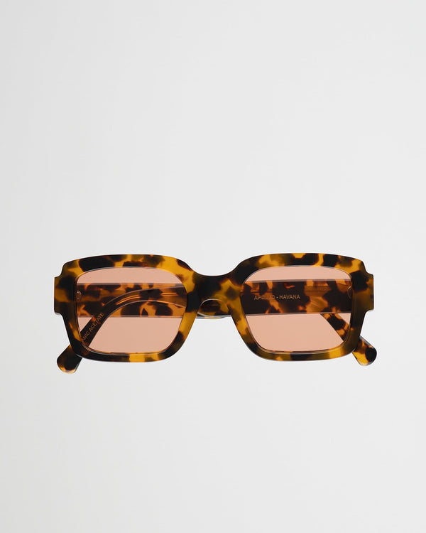 Apollo Havana - orange solid lens