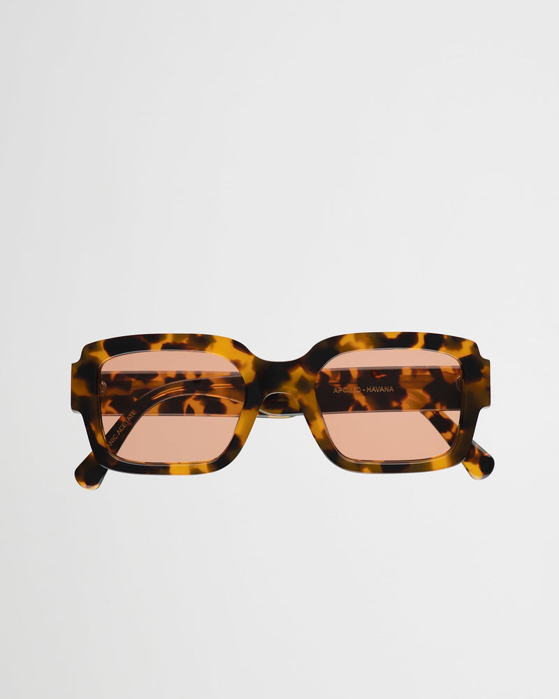 Apollo Havana - orange solid lens