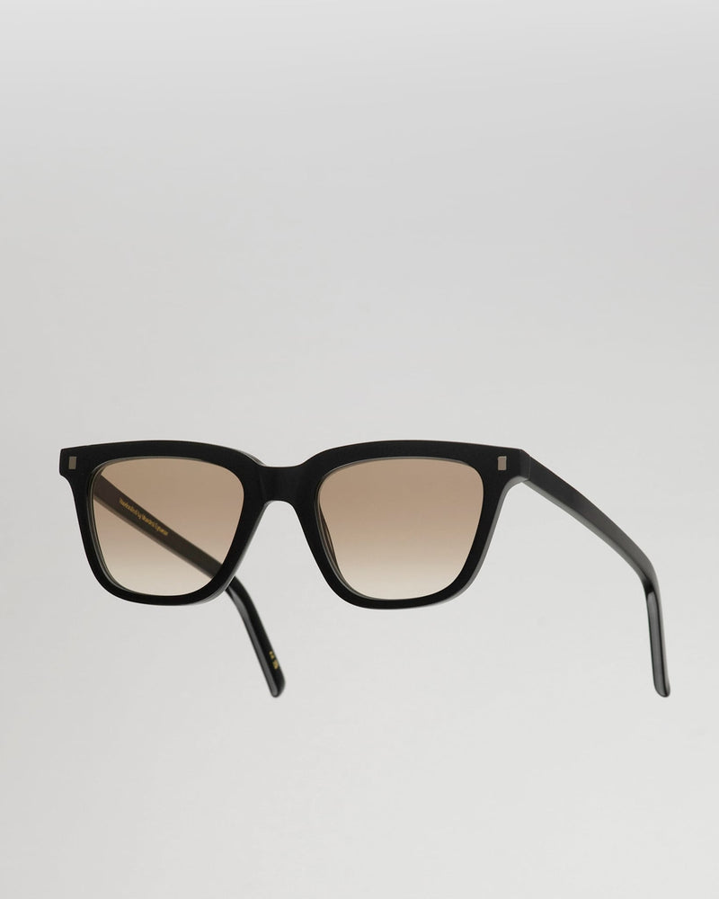 Robotnik Black - brown gradient lens