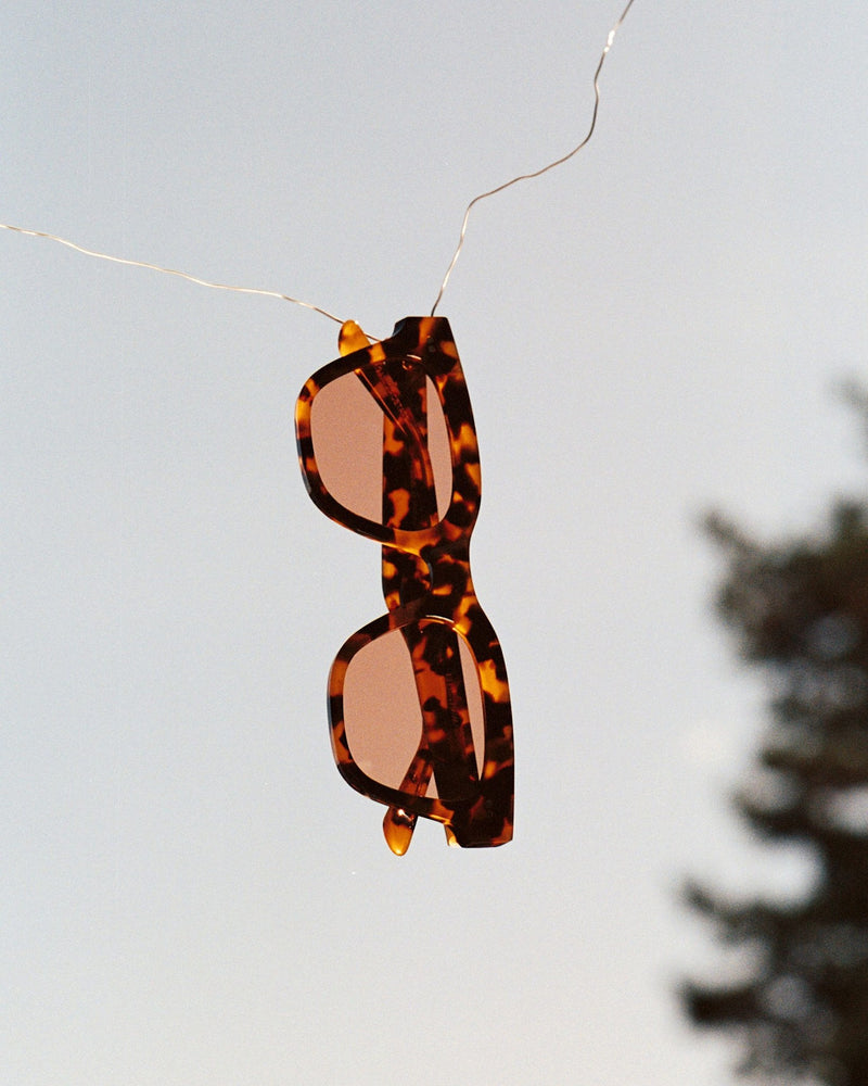 Ellis Havana - orange solid lens